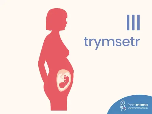 III trymestr ciąży: sylwetka kobiety w ciąży z widocznym płodem.