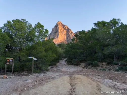 Inicio de la ruta al Puig Campana. Señales y camino rocoso entre pinos, con la imponente montaña iluminada al fondo.