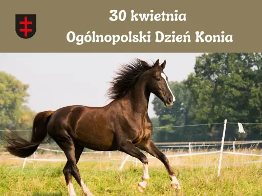 Dzień Konia: Kiedy i jak świętować? Poznaj historię 30 kwietnia!