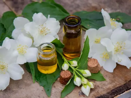 Deux petites fioles d'huile essentielle fleur d'oranger, entourées de fleurs de jasmin blanches et de feuilles vertes sur un fond de bois.