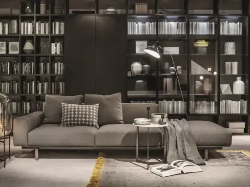 Elegante soggiorno con divano grigio, tavolino e una maestosa lema parete attrezzata piena di libri e oggetti decorativi.