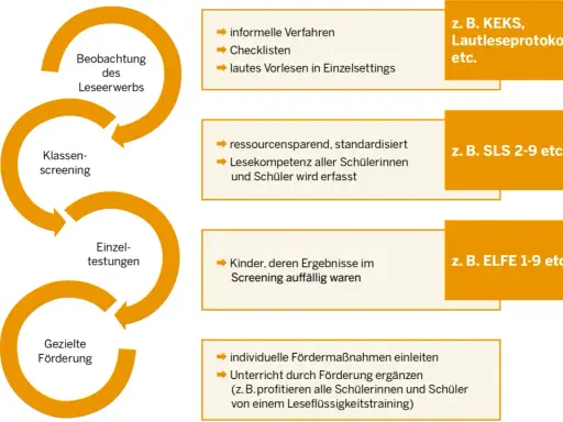 Prozess zur Förderung der Lesekompetenz: Beobachtung, Klassen-Screening, Einzeltestungen und gezielte Förderung.