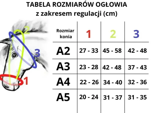 Tabela rozmiarów ogłowia dla koni, z zaznaczonymi na rysunku głowy pomiarami: 1 (pysk), 2 (czoło), 3 (szyja).