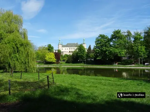 Pałac Biskupów Krakowskich w Kielcach, otoczony zielenią i stawem, to idealne miejsce na relaks. Atrakcje dla dorosłych w Kielcach czekają!