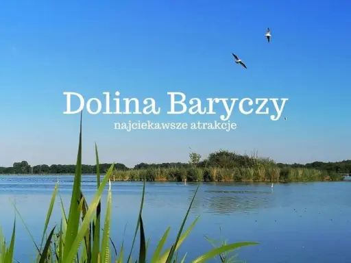 Dolina Baryczy, malowniczy krajobraz z wodą, trzcinami i ptakami w locie. Odkryj najciekawsze atrakcje tego miejsca.