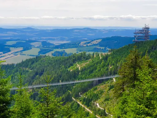 Widok na Dolní Morava most wiszący nad zielonymi lasami i wzgórzami. W oddali widać wieżę widokową.