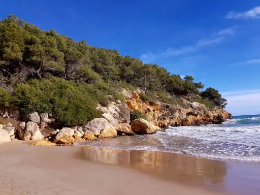 Sandstrand mit Felsen und Pinienwald an der Küste von La Mora, Spanien. Wellen brechen sanft am Ufer.