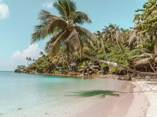 Rajska plaża z palmami i krystalicznie czystą wodą. Zastanawiasz się, ile się leci do Tajlandii, by poczuć taki spokój?