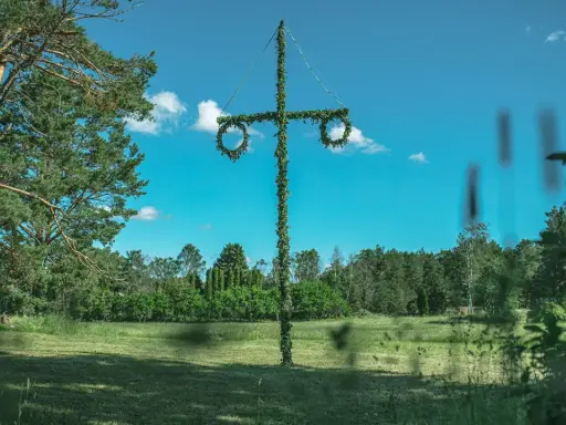 En midsommarstång i en grönskande äng, redo för fest. Här firar man midsommar med dans och sång.