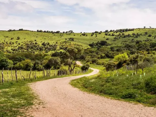 Camino de tierra serpentea por colinas verdes, ideal para rutas senderismo Cádiz.