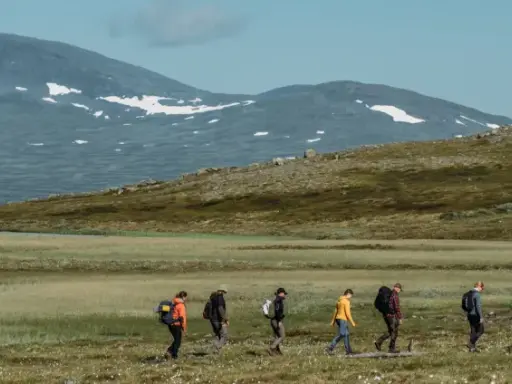 Vandring i fjällandskap med snöklädda toppar, en grupp vandrare med ryggsäckar rör sig genom gräs och ljung mot Helags Sylarna.