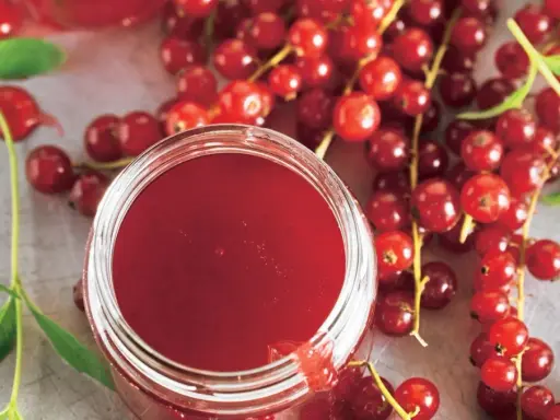 Ein Glas mit rotem Johannisbeergelee, umgeben von frischen Johannisbeeren. Perfekt zum Johannisbeeren einkochen.