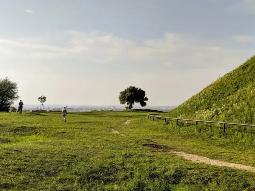 Idealne miejsce, gdzie na spacer w Krakowie. Zielone wzgórza, samotne drzewo i panorama miasta w oddali.