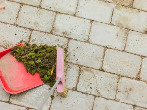 Szczotka zgarnia **mech na kostce** do czerwonej szufelki.