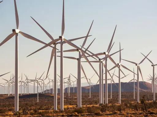 Windräder in der Wüste Kaliforniens, ein Symbol für den grünen Strommix USA.