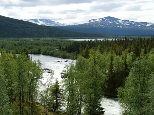 Vacker vy över forsande vatten och grönskande skog vid STF Kvikkjokk. Snöklädda fjäll i bakgrunden.