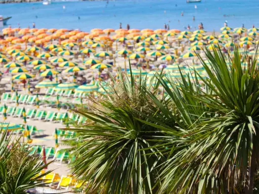 Palme verdi in primo piano su una spiaggia affollata della riviera romagnola, con ombrelloni gialli e arancioni e il mare azzurro sullo sfondo.