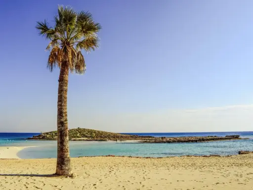 Idealne miejsce, gdzie na wakacje we wrześniu: piaszczysta plaża, turkusowa woda i samotna palma.