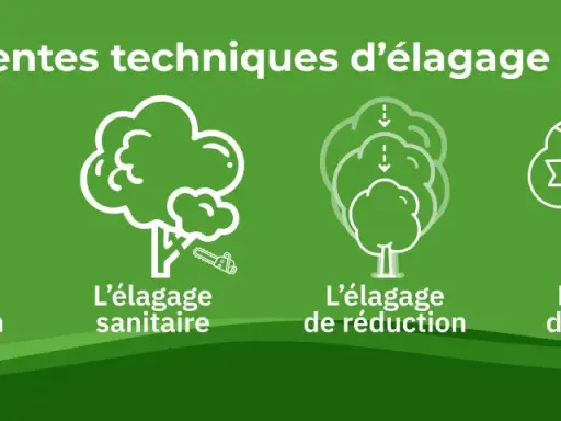 Quatre illustrations montrent différentes techniques pour élaguer un arbre : formation, sanitaire, réduction et entretien.