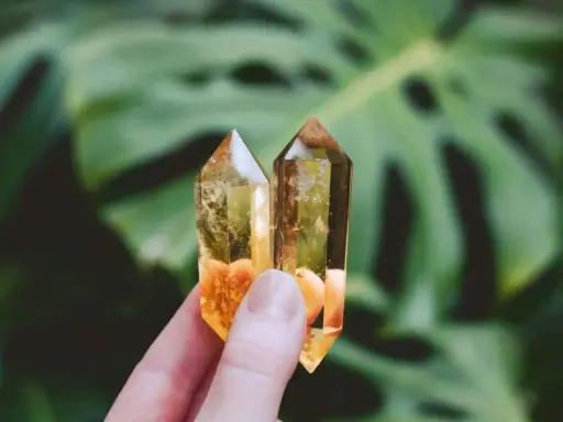 Due cristalli di quarzo giallo, luminosi e trasparenti, tenuti tra le dita, con foglie verdi sfocate sullo sfondo.