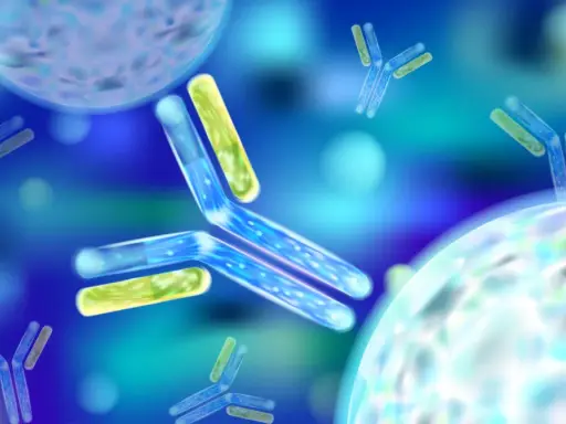 Błękitne przeciwciała atakują bakterie Helicobacter. To wizualizacja antybiotyku na helicobacter.