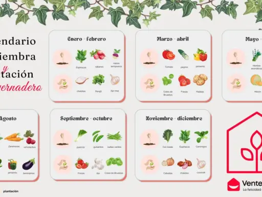 Calendario de siembra y plantación en invernadero, con cultivos para cada mes del año.