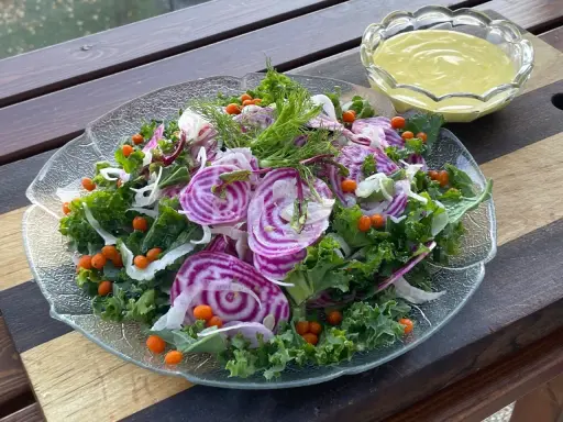 En färgglad sallad med rödbetor, grönkål och havtorn, perfekt som en frisk sallad till julbordet.