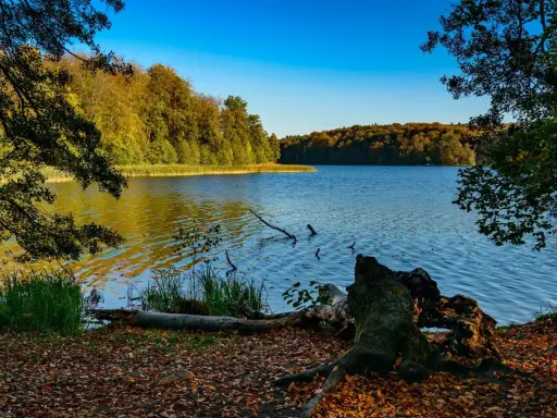 Jesienne barwy lasów nad jeziorem, idealne miejsce na odkrywanie szlaków turystycznych w Polsce.