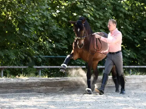 Ein Mann führt ein Pferd im spanischen Schritt. Das Pferd hebt ein Bein hoch, Staub wirbelt auf.