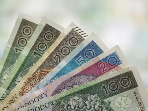 Złotówki w różnych nominałach, od 20 do 200 zł, ułożone wachlarzowo. Mogą symbolizować przyszłe świadczenie pielęgnacyjne 2026.
