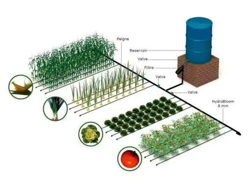 Schéma d'une installation goutte à goutte pour maïs, poireaux, choux et tomates. Le système comprend un réservoir, un filtre et des valves.