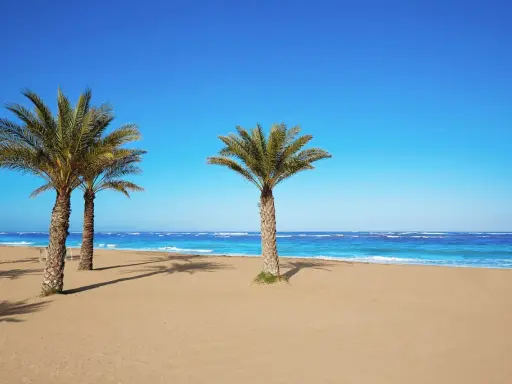 Palmen säumen den Sandstrand von Denia an der Costa Blanca. Das türkisfarbene Meer lädt zum Träumen ein.