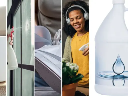 Humidificateur, nettoyage de vitres, repassage et arrosage de plantes : tous ces usages bénéficient de l'eau déminéralisée pour un résultat optimal.