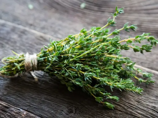 Ein Bündel frischer Thymian, eine bekannte Heilpflanze gegen Husten, liegt auf rustikalem Holz.