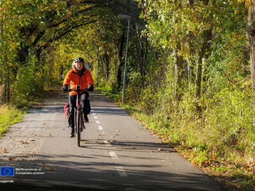 En person cyklar på en asfalterad cykelväg kantad av träd i höstfärger. En härlig cykeltur i Åkersberga.