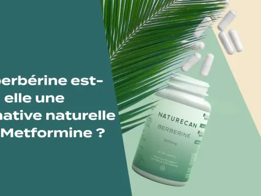 Gélules de berbérine, une alternative naturelle aux bienfaits potentiels, avec une feuille de palmier.