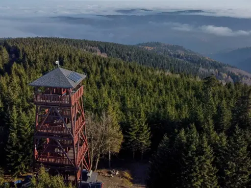 Wieża widokowa na Orlicy szczyt, otoczona gęstym lasem świerkowym, góruje nad morzem mgieł i pagórków.