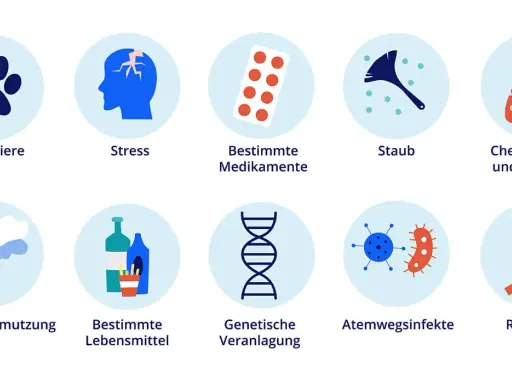 Auslöser für den Zustand bei Asthma: Haustiere, Stress, Medikamente, Staub, Chemikalien, Luftverschmutzung, Lebensmittel, genetische Veranlagung, Infekte, Rauchen.