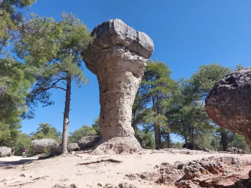 Majestuoso hongo de roca en el bosque encantado de Cuenca, rodeado de pinos y bajo un cielo azul intenso.