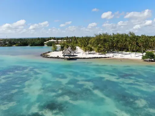 Rajska plaża z palmami i turkusową wodą. Czy Mauritius, warto? Zdecydowanie tak!