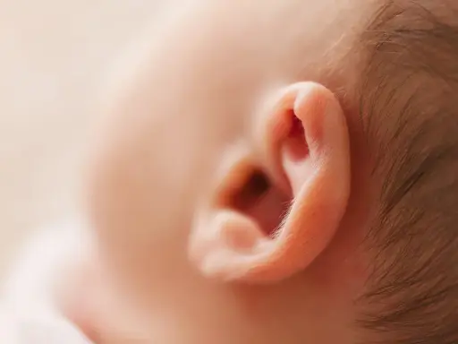 Delikatne ucho niemowlęcia, które może być dotknięte zapaleniem ucha zewnętrznego.
