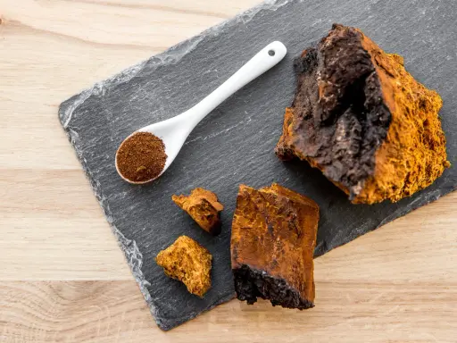 Morceaux de chaga brut et en poudre sur une ardoise, évoquant les nombreux chaga bienfaits pour la santé.