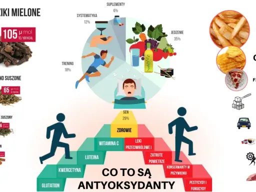 Antyoksydanty co to? Piramida zdrowia, sen, jedzenie, zioła i suplementy. Unikaj fast foodów, pestycydów i zanieczyszczeń.