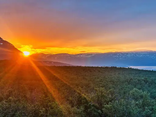 Solens strålar bryter fram bakom ett berg, badar skogen i ett gyllene sken. En glimt av det sydligaste midnattssolens magi över svenska fjäll.