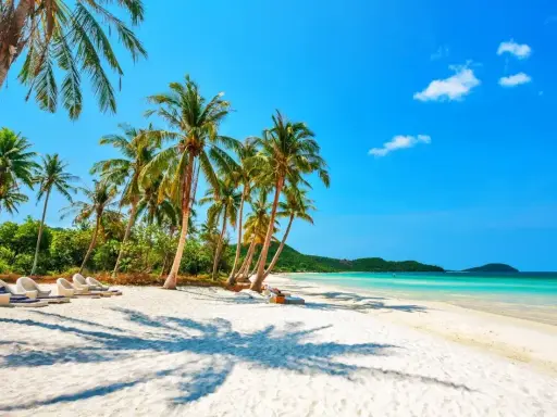 Rajska plaża z palmami i leżakami, idealne miejsce, gdzie na wakacje w październiku.