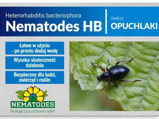 Nematodes HB zwalczają opuchlaki. Produkt jest łatwy w użyciu, skuteczny i bezpieczny dla ludzi, zwierząt i roślin.
