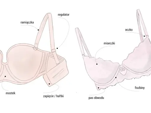 Ilustracja pokazuje budowę stanika, pomagając zrozumieć, jak dobrać stanik idealnie dopasowany do Twoich potrzeb.