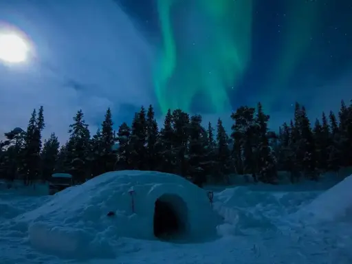 En glasigloo i Sverige under norrsken. En snöig skog och en fullmåne lyser upp natten.