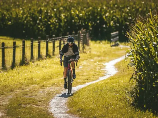 Ein Mann fährt mit seinem Rennrad auf einem Feldweg im Schwarzwald, umgeben von Maisfeldern und Sonnenschein.