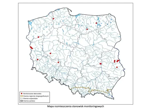 Żółw błotny: Gdzie żyje jedyny żółw w Polsce? Mapa siedlisk